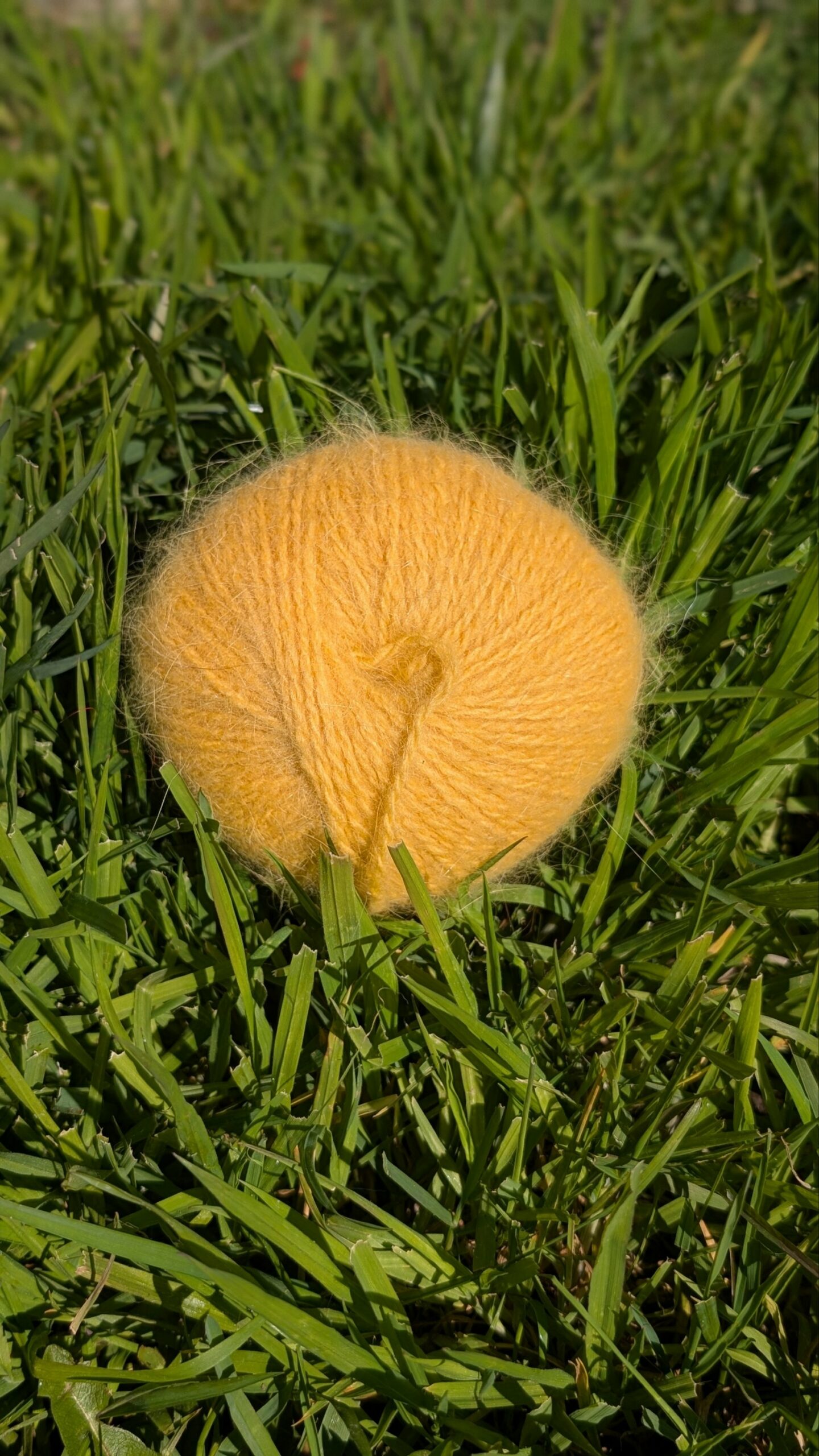 Pelotes 80% Angora 20% mérinos miel