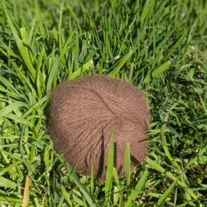 Pelotes 80% Angora 20% mérinos marron