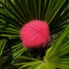 Pelotes 80% Angora 20% mérinos Corail