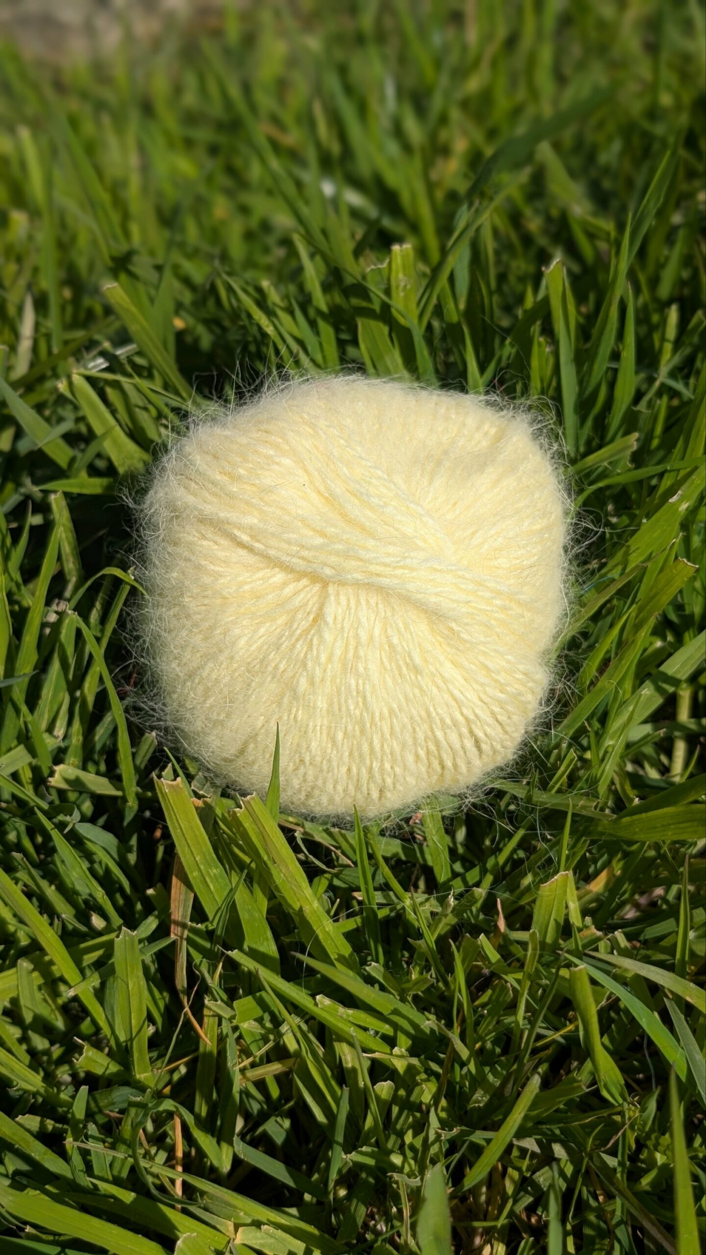 Pelotes 80% Angora 20% mérinos Poussin