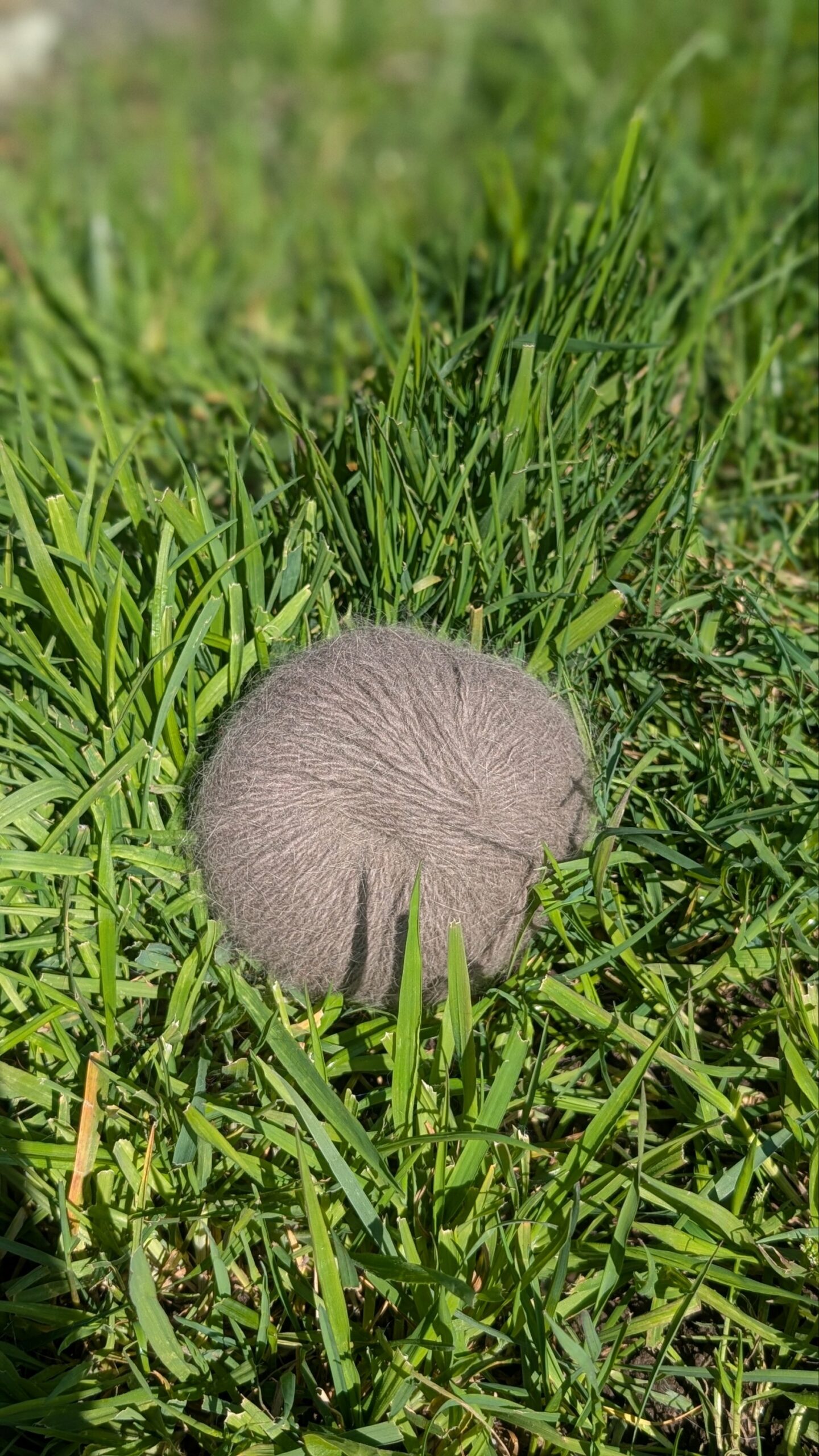 Pelotes 80% Angora 20% mérinos Châtaigne